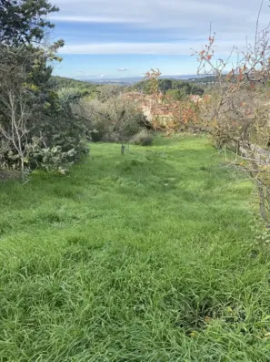 Image du modèle de maison IMG_3908