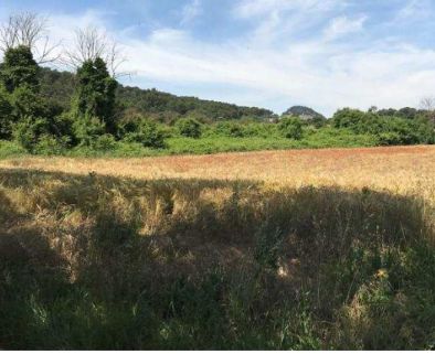 Image du terrain Terrain à bâtir de 650 m² à GARDANNE (13)