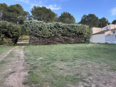 Image du modèle de maison IMG_5691