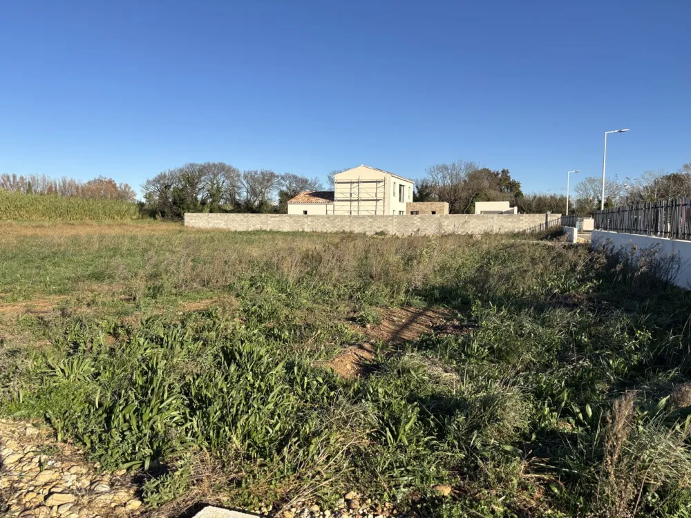 Image du modèle de maison IMG_5688