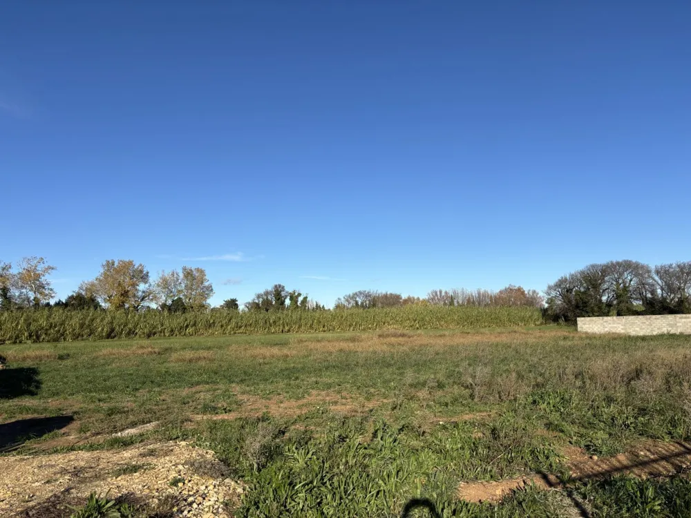 Image du modèle de maison IMG_5689