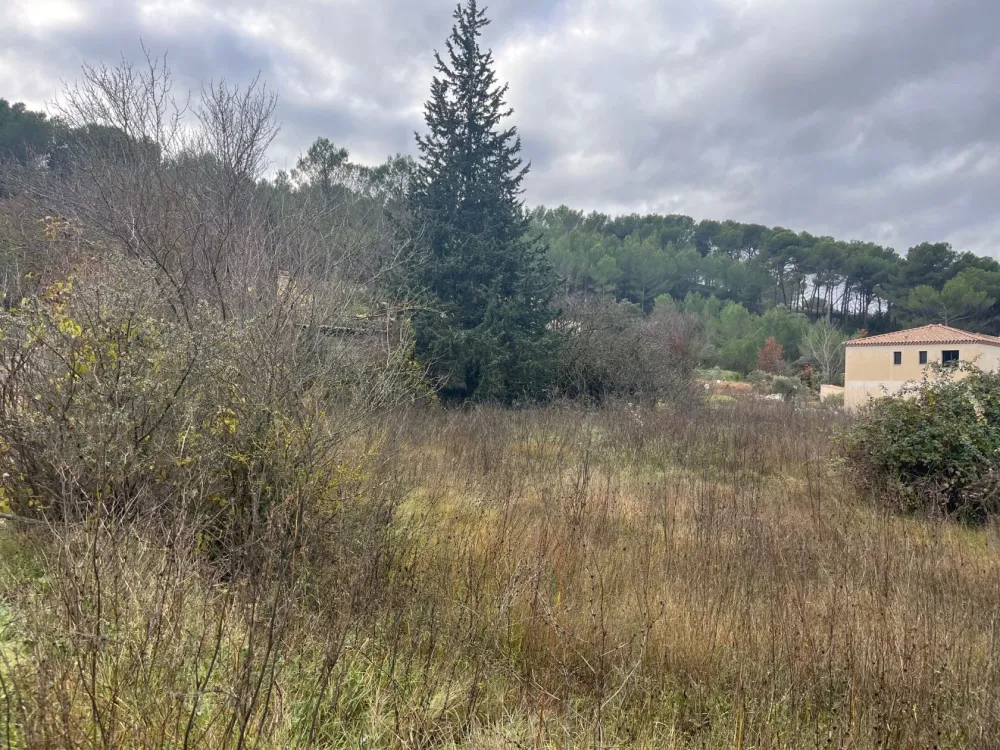 Image du modèle de maison IMG_5002