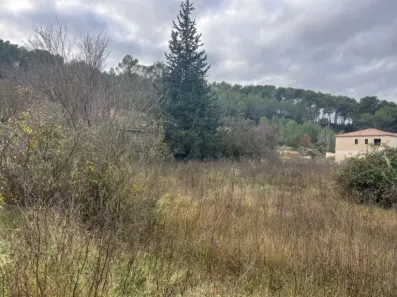 Image du modèle de maison IMG_5002