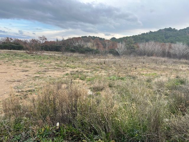 Image du modèle de maison IMG_5058