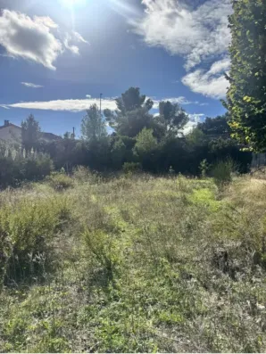 Image du modèle de maison IMG_9800