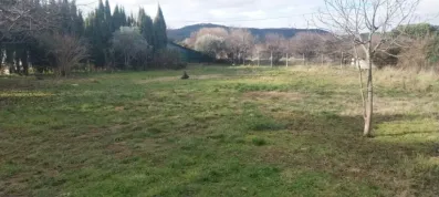 Image du modèle de maison 1000012236