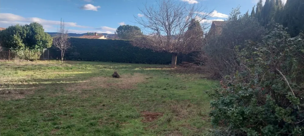 Image du modèle de maison 1000012237