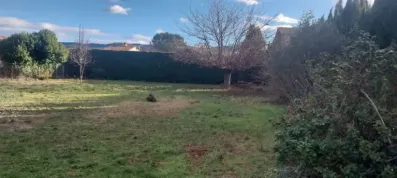 Image du modèle de maison 1000012237