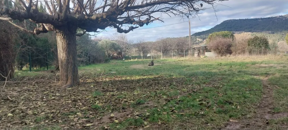 Image du modèle de maison 1000012238