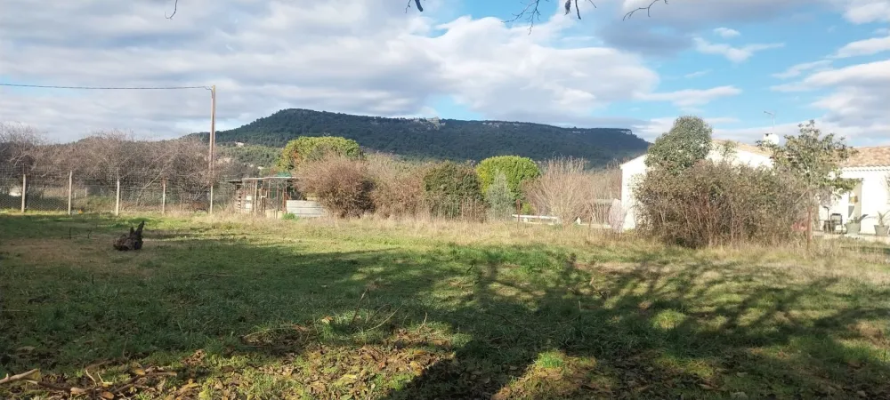 Image du modèle de maison 1000012239