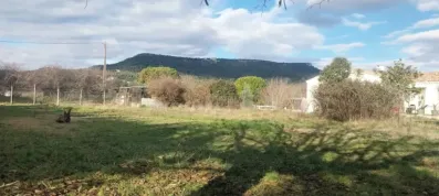 Image du modèle de maison 1000012239