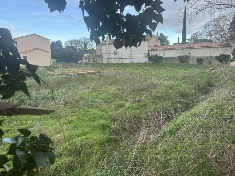 Image du modèle de maison IMG_3952