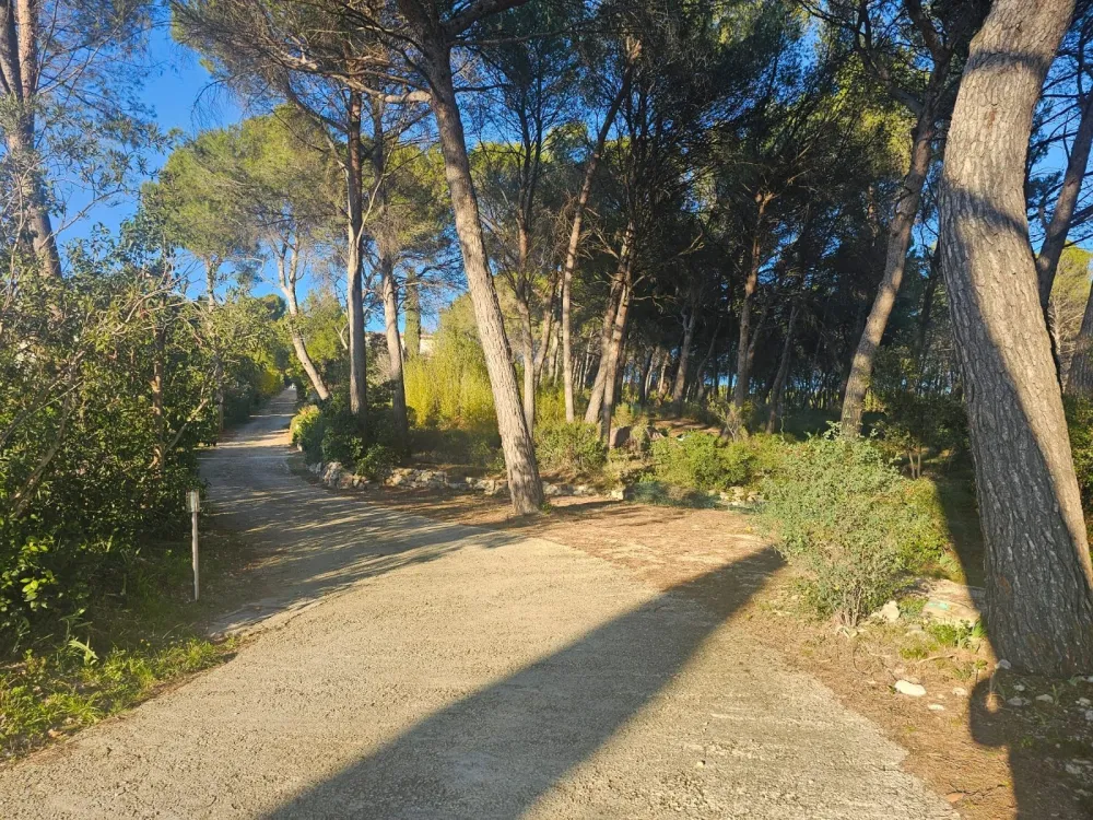 Image du modèle de maison BVAH1815