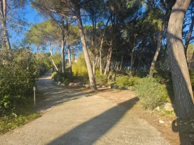 Image du modèle de maison BVAH1815