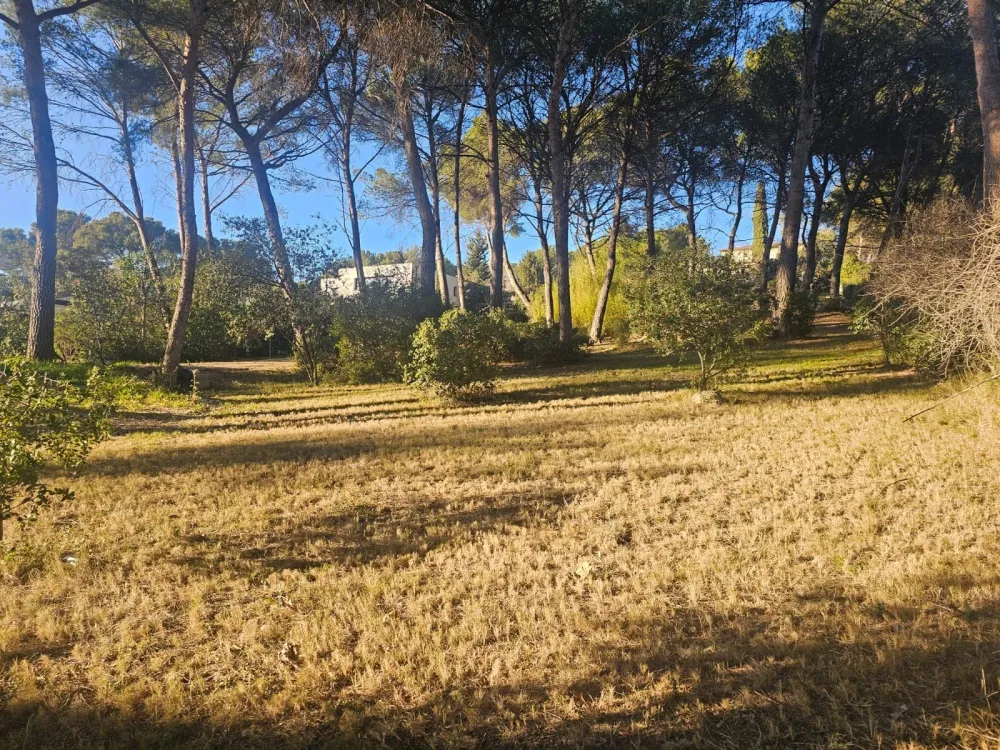 Image du modèle de maison CEAV6987