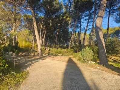 Image du modèle de maison QTZG3990