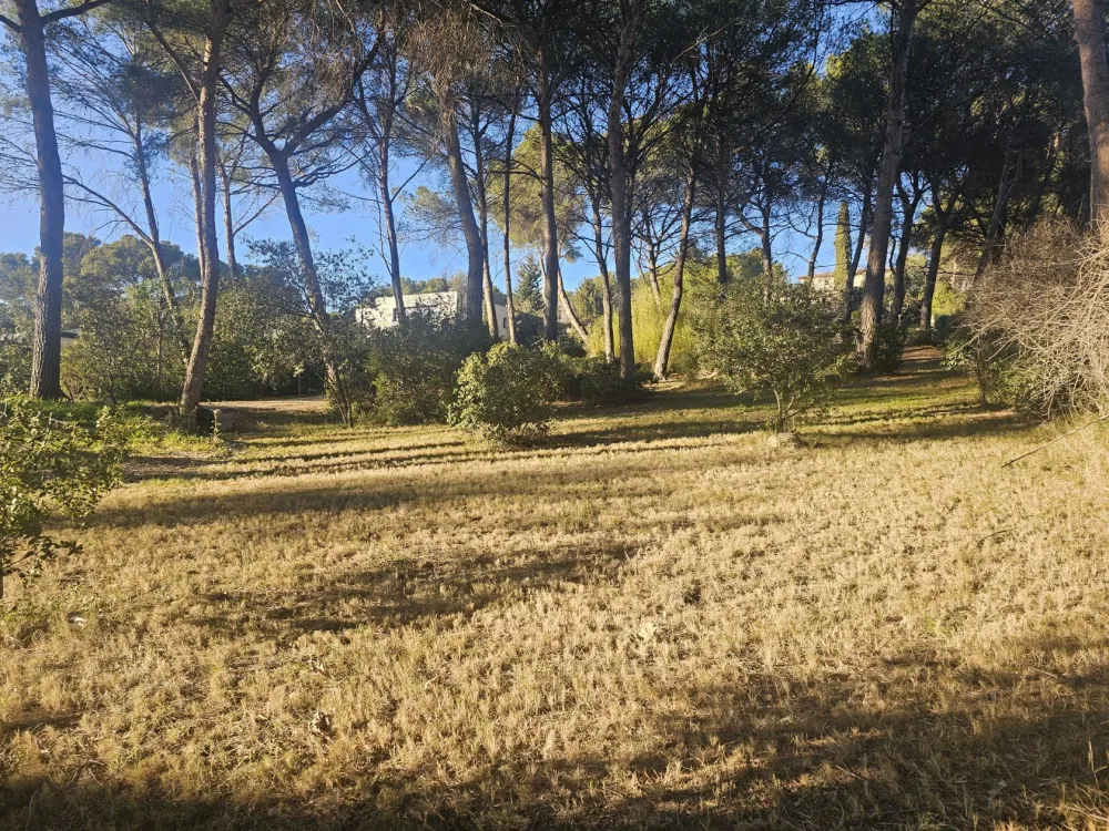 Image du modèle de maison 20241228_153631 copie