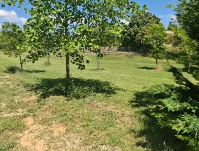 Image du modèle de maison Capture d’écran 2026-01-14 100451