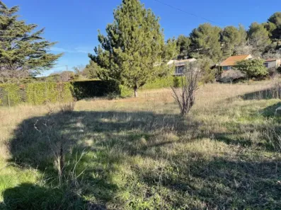 Image du modèle de maison IMG_3854