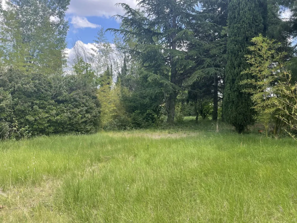 Image du modèle de maison IMG_4160