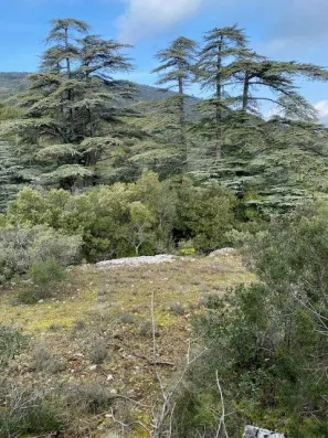 Image du modèle de maison vue plan d aups terrain