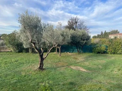 Image du modèle de maison TN LA FARE