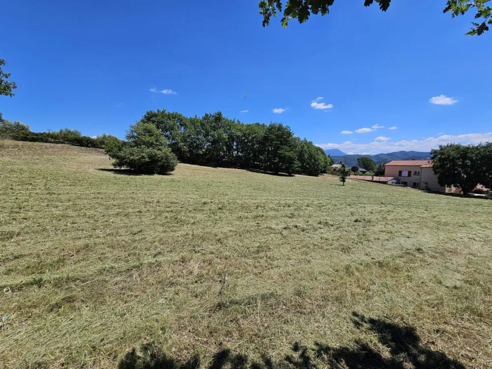 Image du modèle de maison 20240705_135812