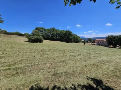 Image du modèle de maison 20240705_135812