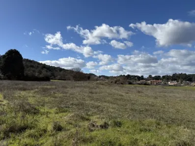 Image du modèle de maison lot 6