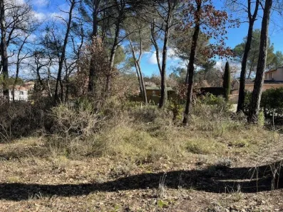 Image du modèle de maison IMG_5346