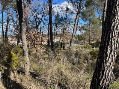 Image du modèle de maison IMG_5347