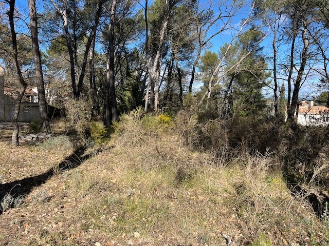 Image du modèle de maison IMG_5348