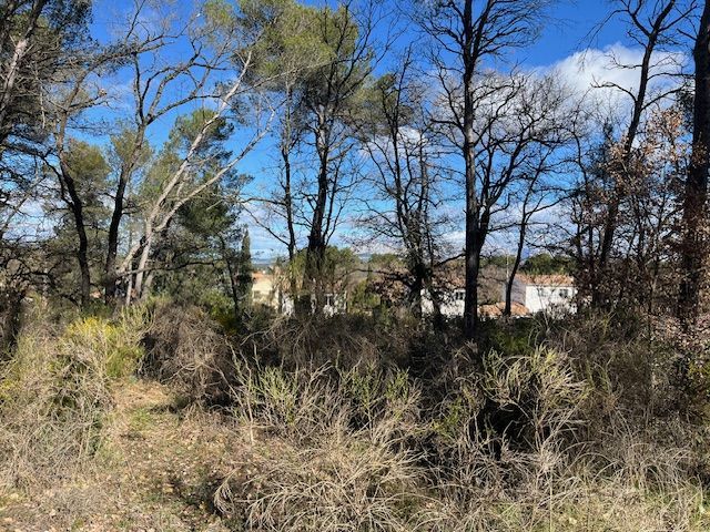 Image du modèle de maison IMG_5349