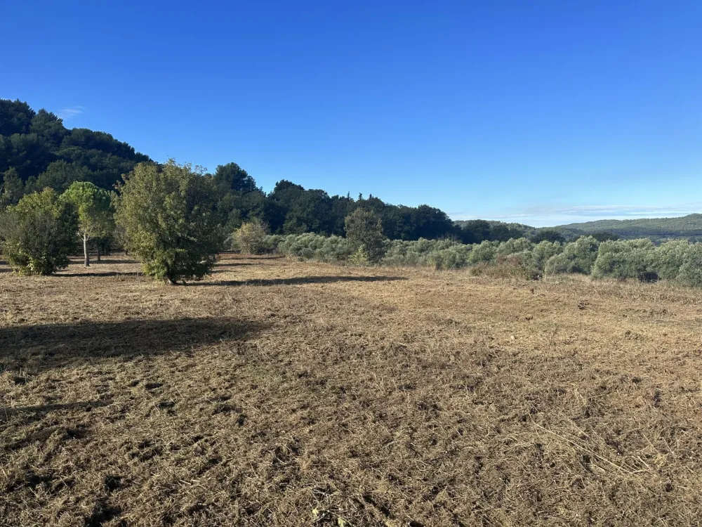 Image du terrain Terrain à bâtir de 300 m² à ROGNES (13)