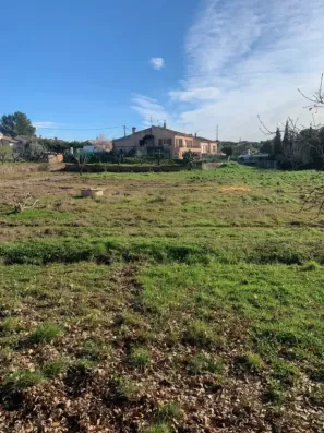 Image du modèle de maison IMG_3839