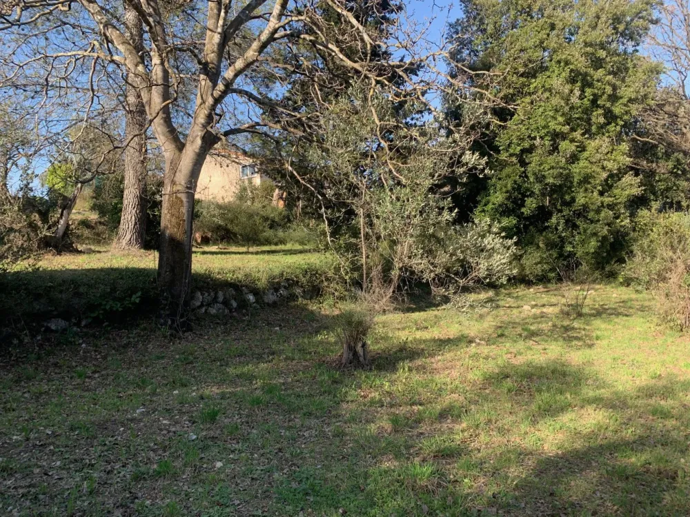 Image du modèle de maison IMG_3850