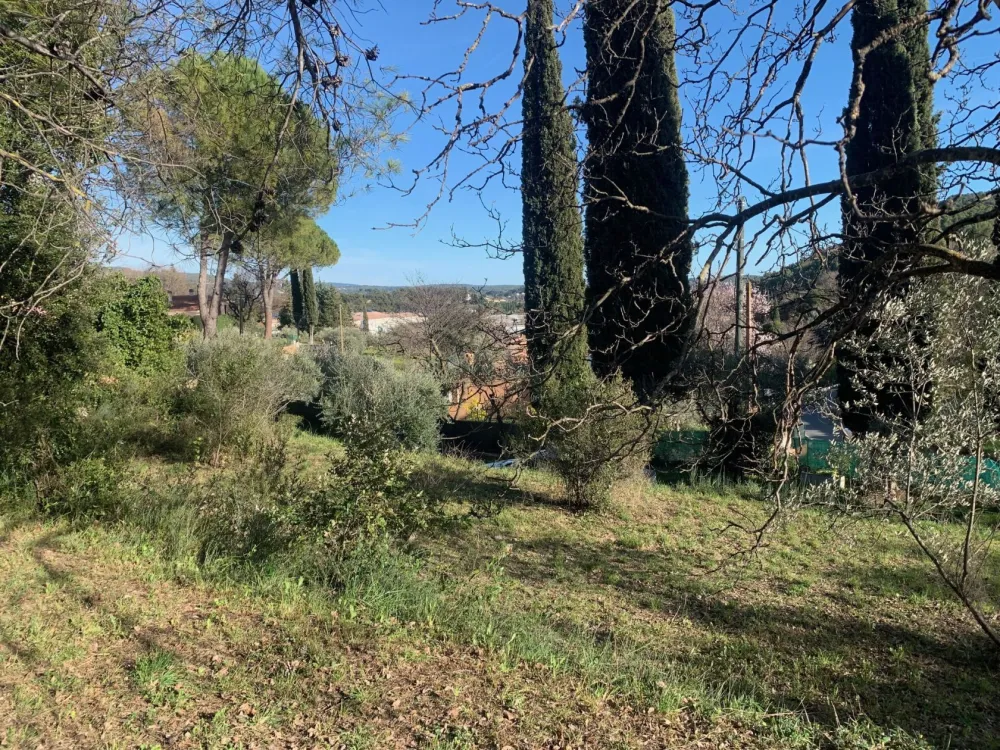 Image du modèle de maison IMG_3852