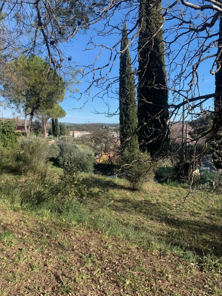 Image du modèle de maison IMG_3853