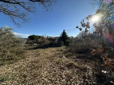 Image du modèle de maison IMG_9121