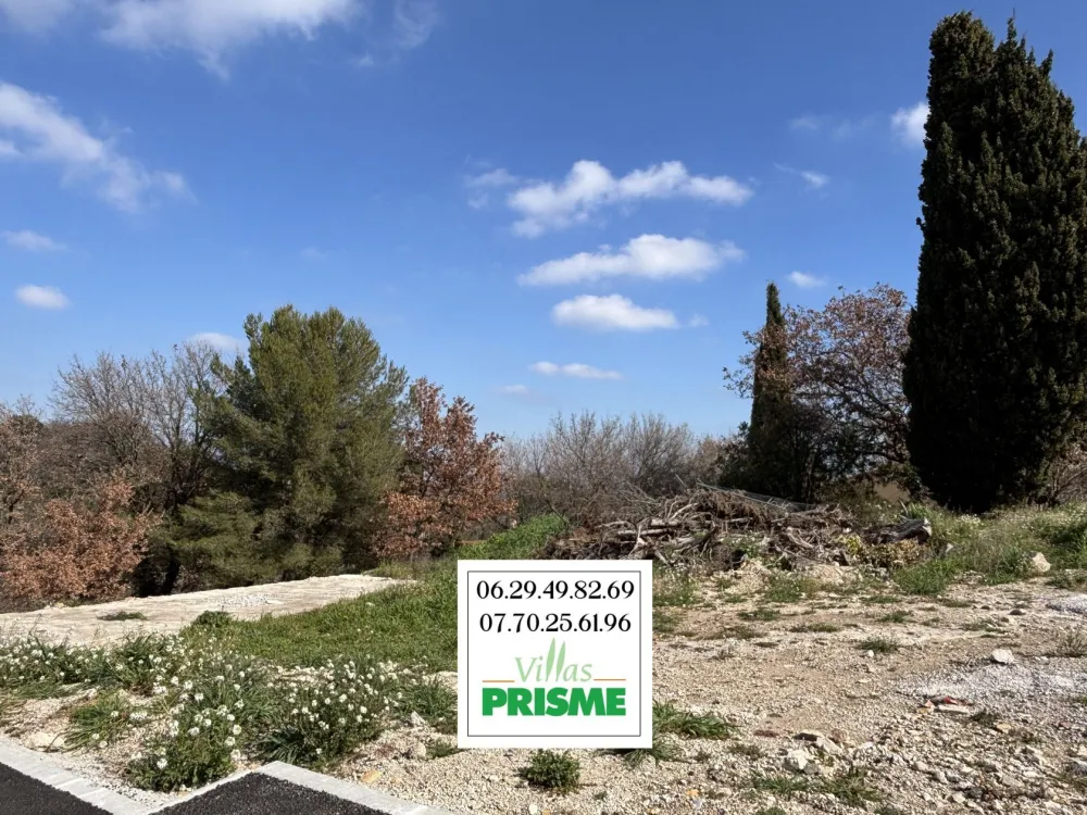 Image du modèle de maison IMG_7480