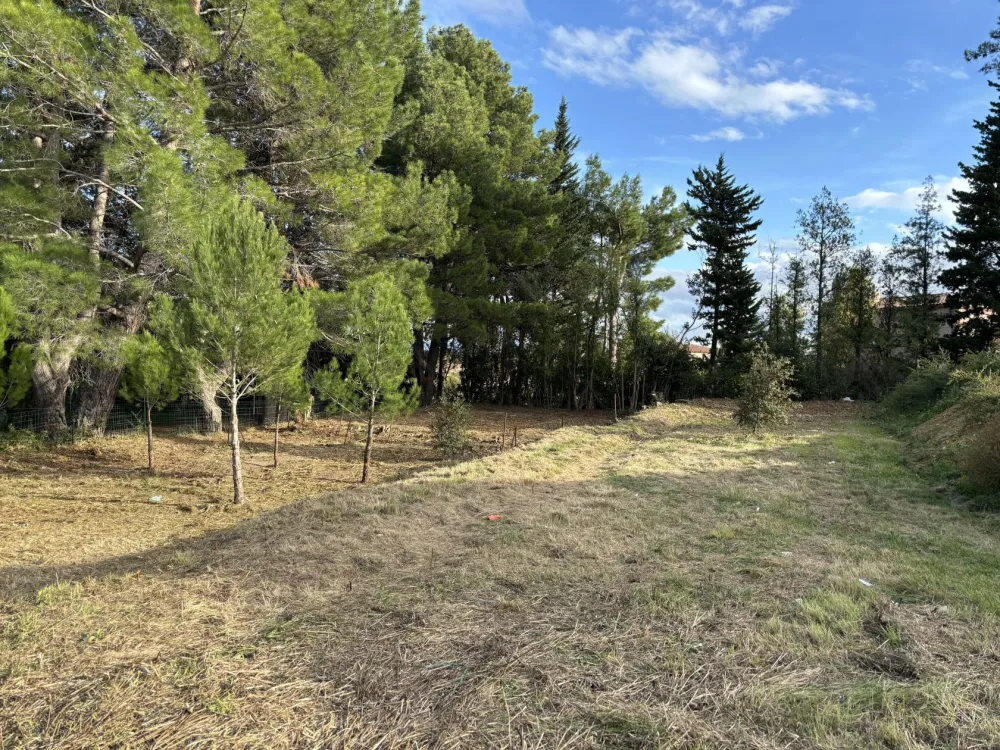 Image du modèle de maison IMG_4698 (2)