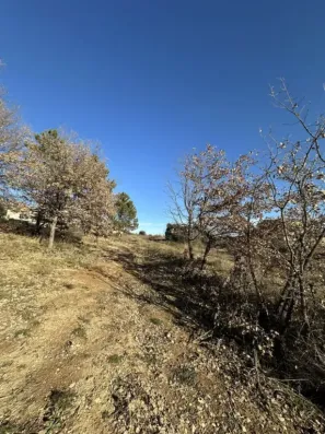 Image du modèle de maison IMG_9124