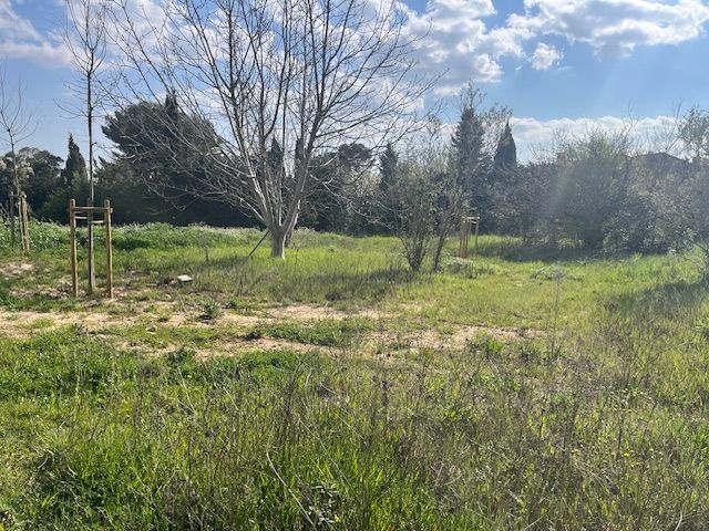 Image du modèle de maison IMG_5473