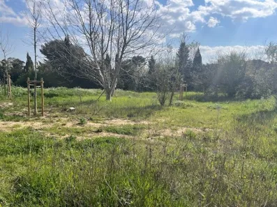 Image du modèle de maison IMG_5473