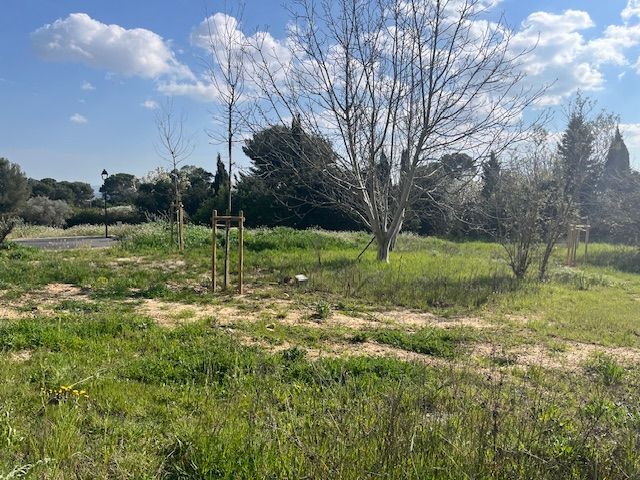 Image du modèle de maison IMG_5474