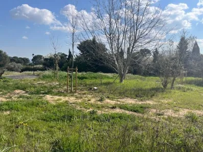 Image du modèle de maison IMG_5474