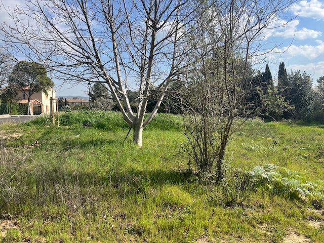 Image du modèle de maison IMG_5475