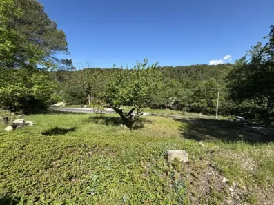 Image du modèle de maison IMG_1980