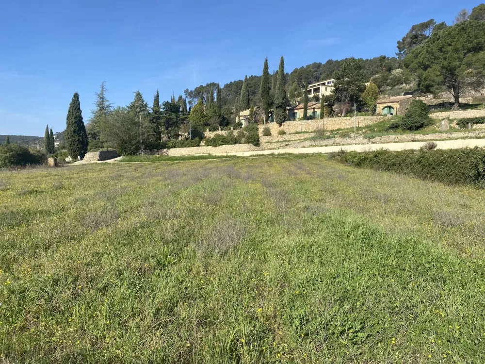 Image du modèle de maison IMG_1872