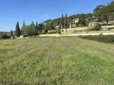 Image du modèle de maison IMG_1872